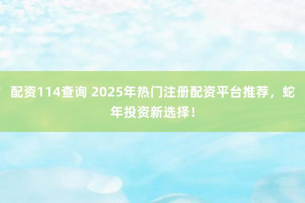 配资114查询 2025年热门注册配资平台推荐，蛇年投资新选择！