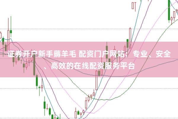 证券开户新手薅羊毛 配资门户网站：专业、安全、高效的在线配资服务平台