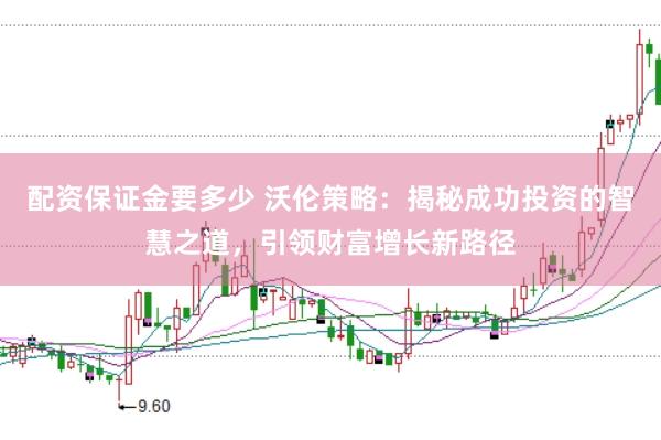 配资保证金要多少 沃伦策略：揭秘成功投资的智慧之道，引领财富增长新路径