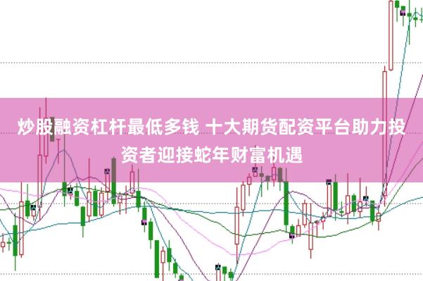 炒股融资杠杆最低多钱 十大期货配资平台助力投资者迎接蛇年财富机遇