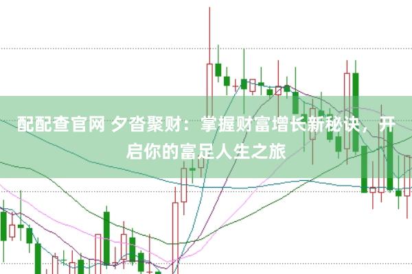 配配查官网 夕沓聚财：掌握财富增长新秘诀，开启你的富足人生之旅