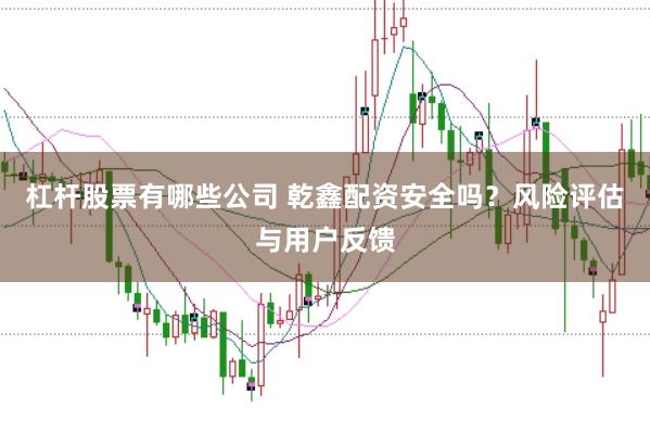 杠杆股票有哪些公司 乾鑫配资安全吗？风险评估与用户反馈