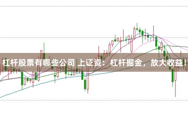 杠杆股票有哪些公司 上证资：杠杆掘金，放大收益！