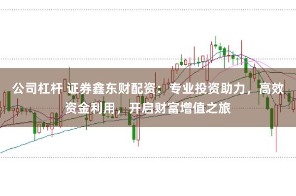 公司杠杆 证券鑫东财配资：专业投资助力，高效资金利用，开启财富增值之旅