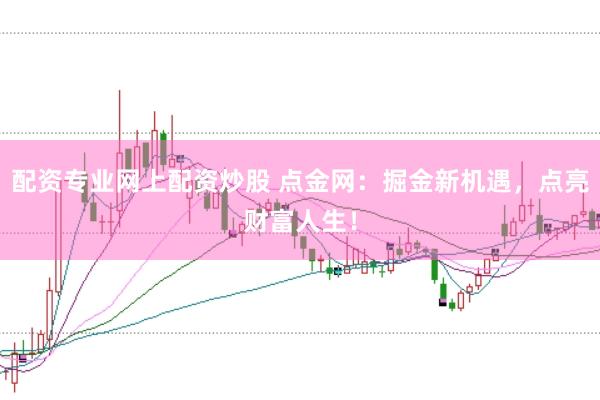 配资专业网上配资炒股 点金网：掘金新机遇，点亮财富人生！