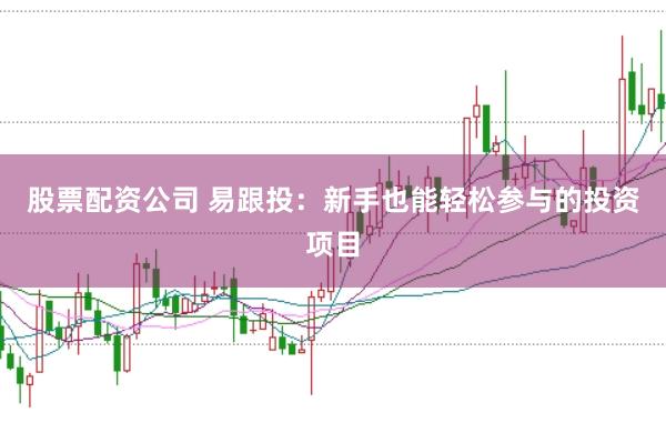 股票配资公司 易跟投：新手也能轻松参与的投资项目