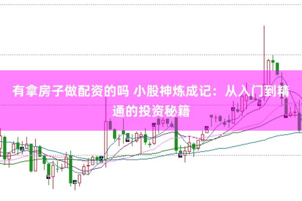 有拿房子做配资的吗 小股神炼成记：从入门到精通的投资秘籍