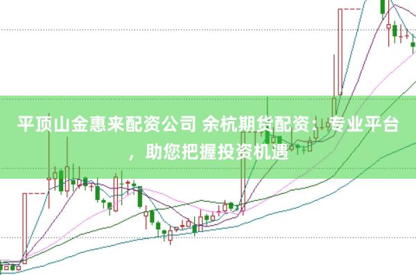 平顶山金惠来配资公司 余杭期货配资：专业平台，助您把握投资机遇