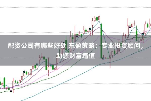 配资公司有哪些好处 东盈策略：专业投资顾问，助您财富增值