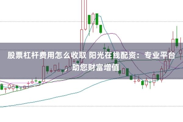 股票杠杆费用怎么收取 阳光在线配资：专业平台，助您财富增值