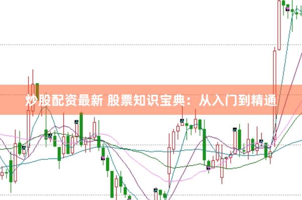 炒股配资最新 股票知识宝典：从入门到精通