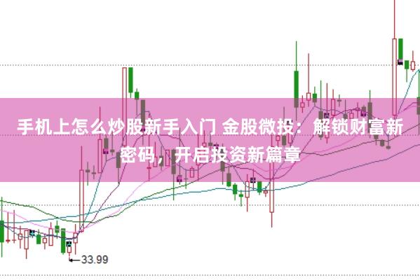 手机上怎么炒股新手入门 金股微投：解锁财富新密码，开启投资新篇章