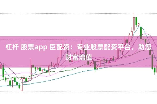 杠杆 股票app 臣配资:专业股票配资平台,助您财富增值