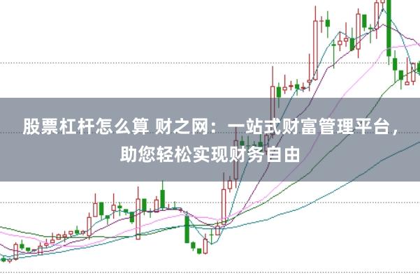 股票杠杆怎么算 财之网：一站式财富管理平台，助您轻松实现财务自由
